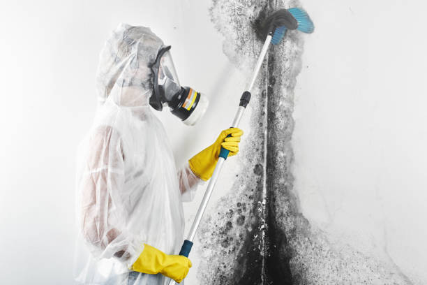 Best Airborne Mold Testing  in Odon, IN