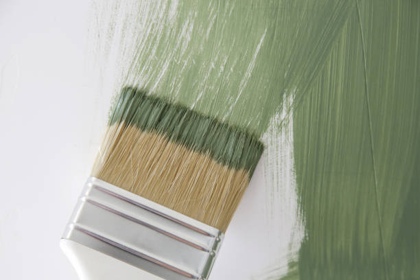 Best Mold Documentation for Insurance Claims  in Odon, IN