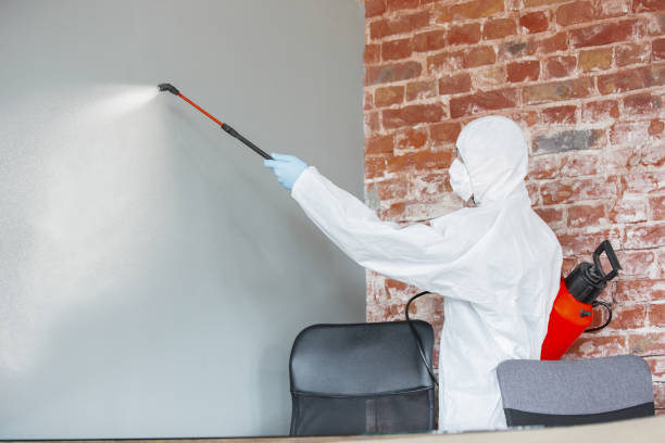 Best Forensic Mold Investigation  in Odon, IN