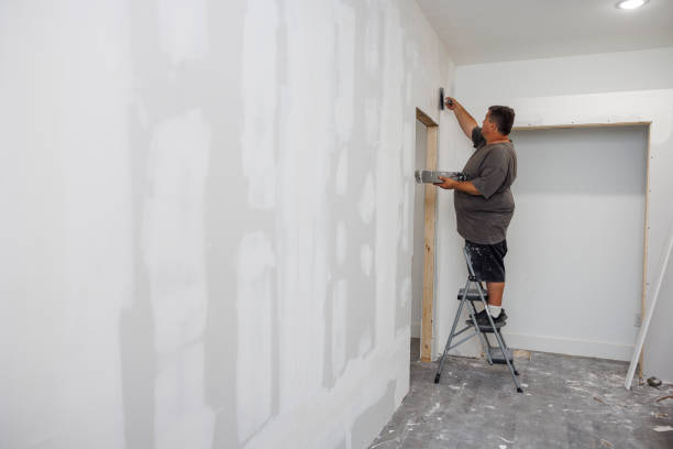 Best Black Mold Removal  in Odon, IN
