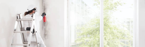 Best Mold Remediation for Healthcare Facilities  in Odon, IN